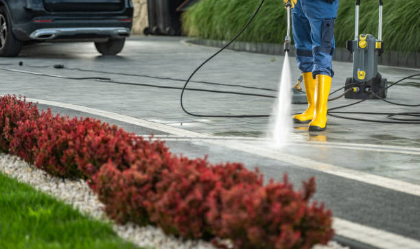 Best Driveway Pressure Washing  in Vinco, PA